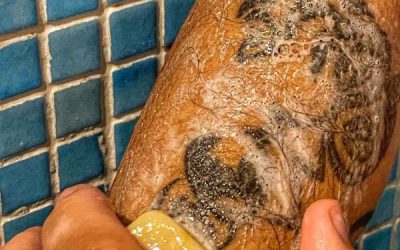 Le savon Pierre Blanche au lait d’ânesse , star de notre e-shop